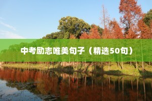 励志奋斗工作正能量的句子（精选10篇）