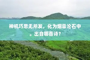 高楼四望吟魂敛，却忆明皇月殿归。出自哪首诗？