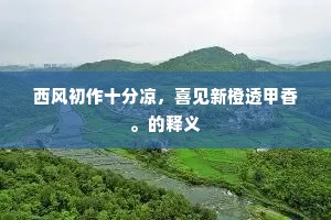 风尘之变成语的释义