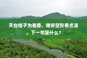 风驰电骋成语的拼音