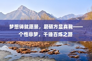 梦想铸就愿景，磨砺方显真我——个性非梦，千锤百炼之路