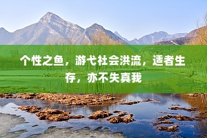 个性之鱼，游弋社会洪流，适者生存，亦不失真我