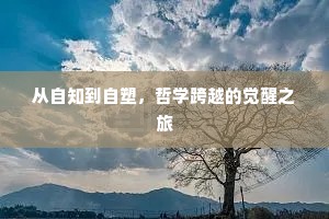 从自知到自塑，哲学跨越的觉醒之旅