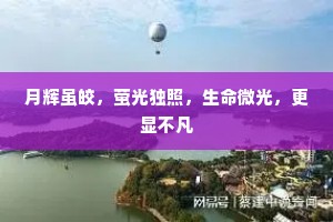 月辉虽皎，萤光独照，生命微光，更显不凡