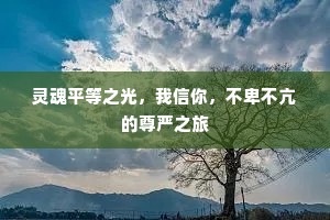 灵魂平等之光，我信你，不卑不亢的尊严之旅
