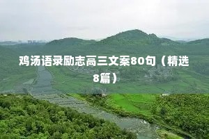 情感语录经典治愈系超短（精选8篇）