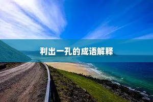 利出一孔的成语解释