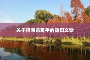 治愈男人情感语录短句文案（通用40句）