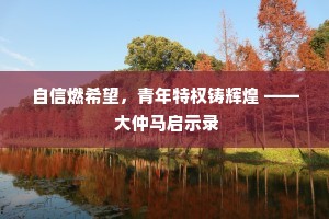 自信燃希望，青年特权铸辉煌 —— 大仲马启示录