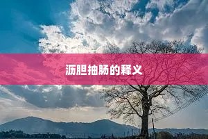 沥胆抽肠的释义