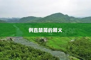 例直禁简的释义