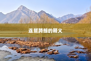 连鳌跨鲸的释义