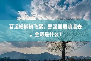 风行电照成语的拼音