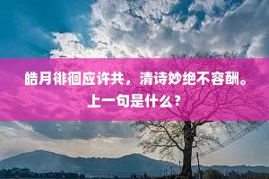 奉行故事成语的拼音