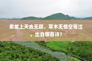 夏钧调乐长生酒，岁岁宫中祝圣图。上一句是什么？