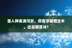 黄图气象占龙阙，丹穴精神识凤毛。的意思及出处