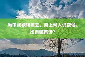 敷衍了事成语的释义
