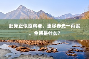 风行电扫成语的拼音