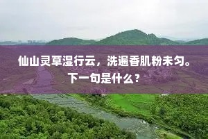 东风初入长春殿，碧溜新融太液池。全诗是什么？