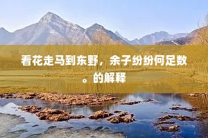 夜深艇子舣前湾，依稀月照芦花浦。的意思及出处