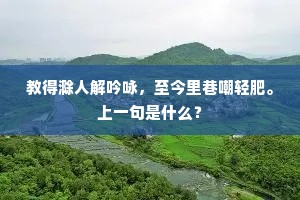 野鹤昂然不可羁，伴行双屐一筇枝。出自哪首诗？