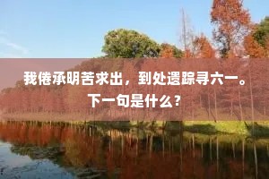 细雨杏园摩诘画，春风花岸少陵诗。出自哪首诗？