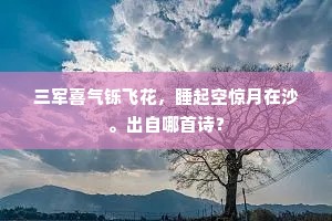 空成洛下书生咏，敢望青州从事来。的释义