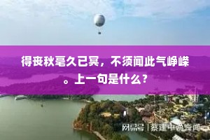 是时天地阴埃遍，瀚海龙城皆习战。的解释