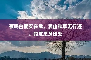 厌向殊乡久离别，秋来愁听捣衣声。上一句是什么？