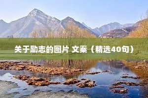 情感语录心灵治愈文案（通用40句）