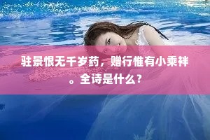 夜深艇子舣前湾，依稀月照芦花浦。的意思及出处