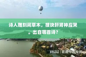 天涯客里送人归，恨绝青青杨柳枝。的解释