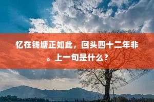 胸中奇气耿独在，匣剑时作蛟龙吼。出自哪首诗？
