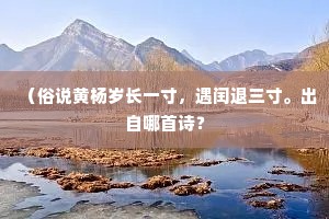 云和朔气连天黑，蓬杂惊沙散野飞。的释义