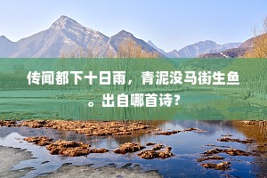 昭君远嫁已年多，戎狄无厌不复和。出自哪首诗？