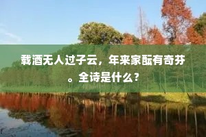 涕泣六师闽广间，旗上罪臣大招讨。的解释