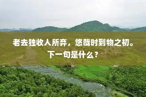 苦言不听甘将军，枉折将倾大厦栋。下一句是什么？