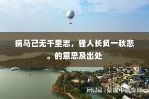已亡八府县六三，大军何处扶日毂。的解释