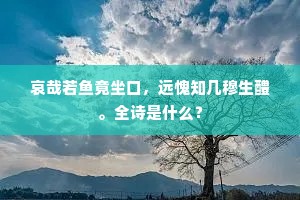 鹿皮尽属汉家装，砖子城头日正红。的释义
