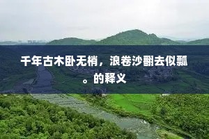 改柯易叶成语的拼音