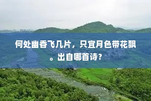 不居方，无处觅，运用无踪复无迹。全诗是什么？