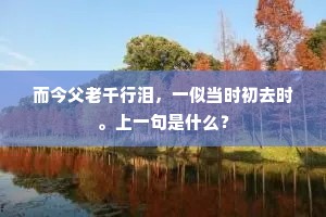 如来若向阎浮出，莫现从来丈六身。的意思及出处