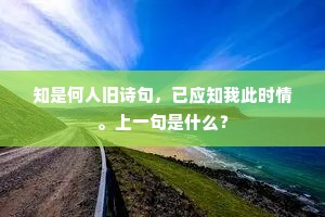 干脆利索成语的释义