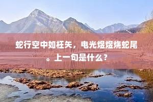 干卿底事成语的释义