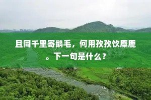 證实相，无人法，刹那灭却阿鼻业。下一句是什么？