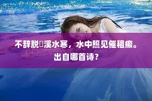 祇知犯重障菩提，不见如来开秘诀。上一句是什么？