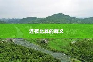 连枝比翼的释义