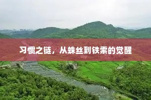 习惯之链，从蛛丝到铁索的觉醒