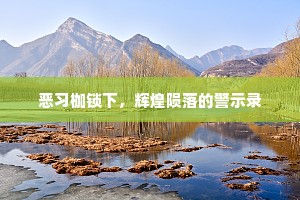 恶习枷锁下，辉煌陨落的警示录