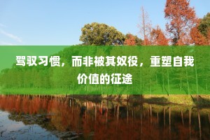 驾驭习惯，而非被其奴役，重塑自我价值的征途